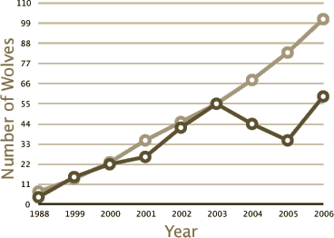 Mexican gray wolf recovery figures.